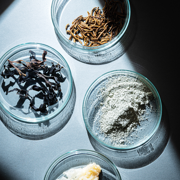 De Toekomst op je bord - Mie Goffin